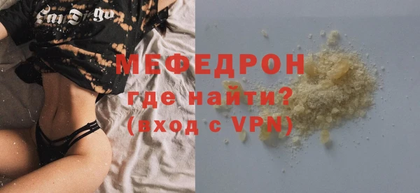 мдпв Гусев