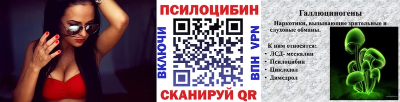Псилоцибиновые грибы Psilocybe  как найти закладки  Гусиноозёрск 
